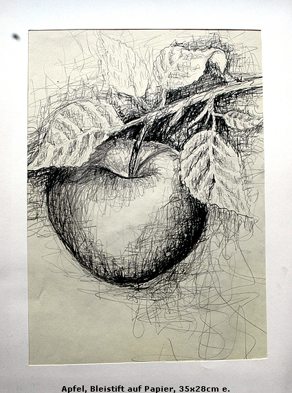 Apfel, Bleistift auf Papier, 35x28cm e.